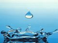 Clear drop of water splashing.