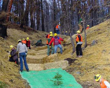 Erosion Control Image