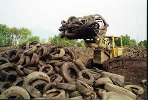 Waste Tires Image