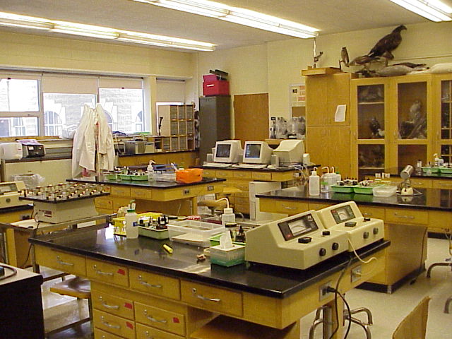 Laboratory Image