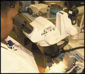 Electrical Shop Activity Image